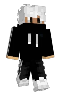 Sebevin Minecraft avatar full body