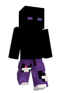 SebiS21b Minecraft avatar full body