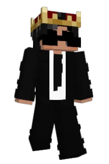 Sebis_210 Minecraft avatar full body