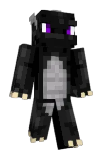 Sebologic Minecraft avatar full body