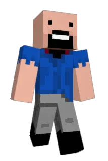 Sebsam2 Minecraft avatar full body