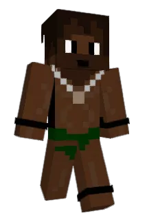 Sebuzz Minecraft avatar full body