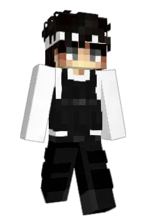 Seceded Minecraft avatar full body
