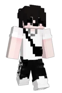 SecretlyVietcong Minecraft avatar full body