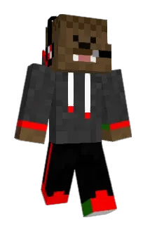 Seebo343 Minecraft avatar full body