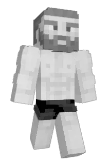SeedOilNatlist Minecraft avatar full body
