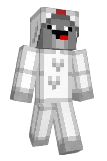 Seensinity Minecraft avatar full body