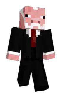 Seggert Minecraft avatar full body
