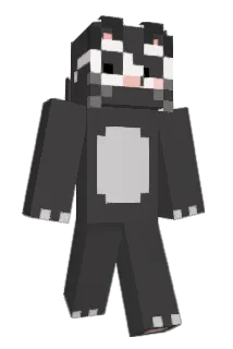Sehes_ Minecraft avatar full body