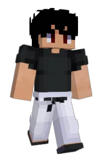 Seinaao_ Minecraft avatar full body