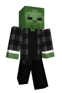 Seiriosa Minecraft avatar full body