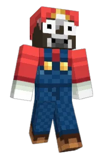SejerSB Minecraft avatar full body