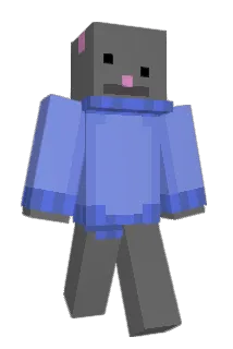 Sejunning Minecraft avatar full body