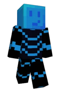 Seki1808 Minecraft avatar full body