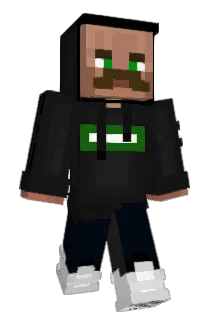 Sel1ens_ Minecraft avatar full body