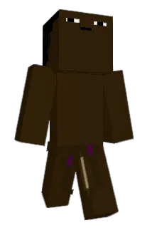 Sel8207 Minecraft avatar full body