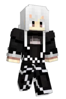 Seldom254 Minecraft avatar full body