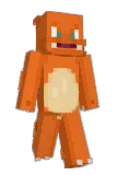 Selectnation Minecraft avatar full body