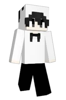 Selectors Minecraft avatar full body