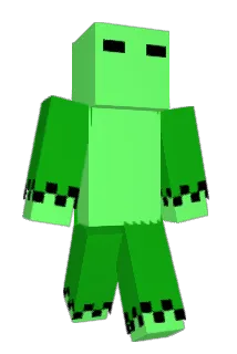 Selenfea Minecraft avatar full body