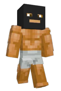 Selenkappa Minecraft avatar full body