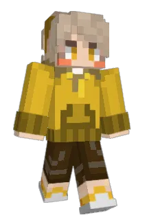 Seli9053 Minecraft avatar full body