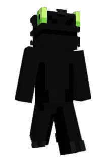 Selighten Minecraft avatar full body