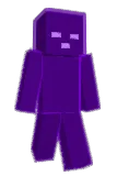 Seligordo Minecraft avatar full body