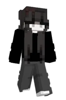 Selinaapx Minecraft avatar full body