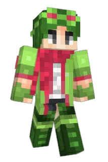 Selius_ Minecraft avatar full body