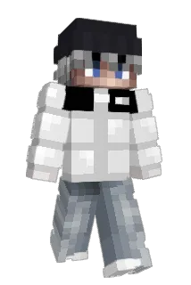 Sellin1 Minecraft avatar full body