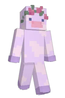 Selpye Minecraft avatar full body
