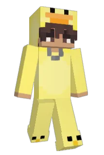 Selsfy Minecraft avatar full body