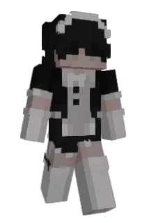 Selsplays Minecraft avatar full body