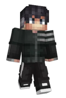 Seltix Minecraft avatar full body