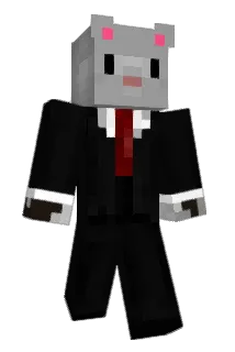 SeniorChinchilla Minecraft avatar full body