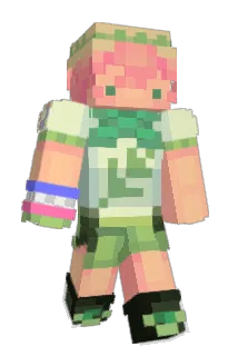 SeniorTacos Minecraft avatar full body