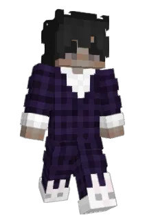 Sennevslol Minecraft avatar full body