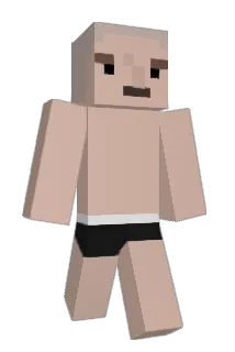 Sennuuhh Minecraft avatar full body