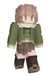 SenseiNic Minecraft avatar full body