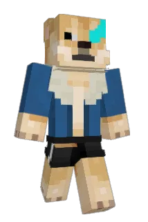 Sentair Minecraft avatar full body