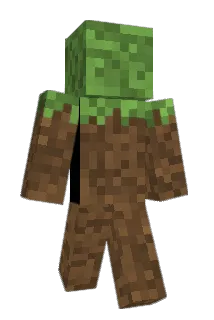 Serendipiitous Minecraft avatar full body