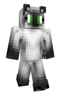 Sergal2Cheese Minecraft avatar full body