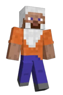 Server303 Minecraft avatar full body