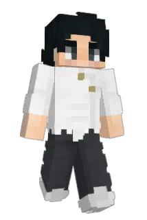 Sethylas Minecraft avatar full body