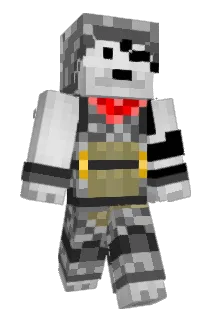 Seyrenigneel Minecraft avatar full body