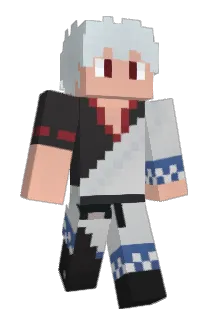 Seyro__ Minecraft avatar full body