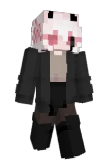 Minecraft-Avatar von Seyumei: ganzer Körper