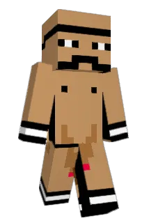 Sgaucs10 Minecraft avatar full body