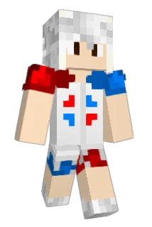 Sgnaft29 Minecraft avatar full body